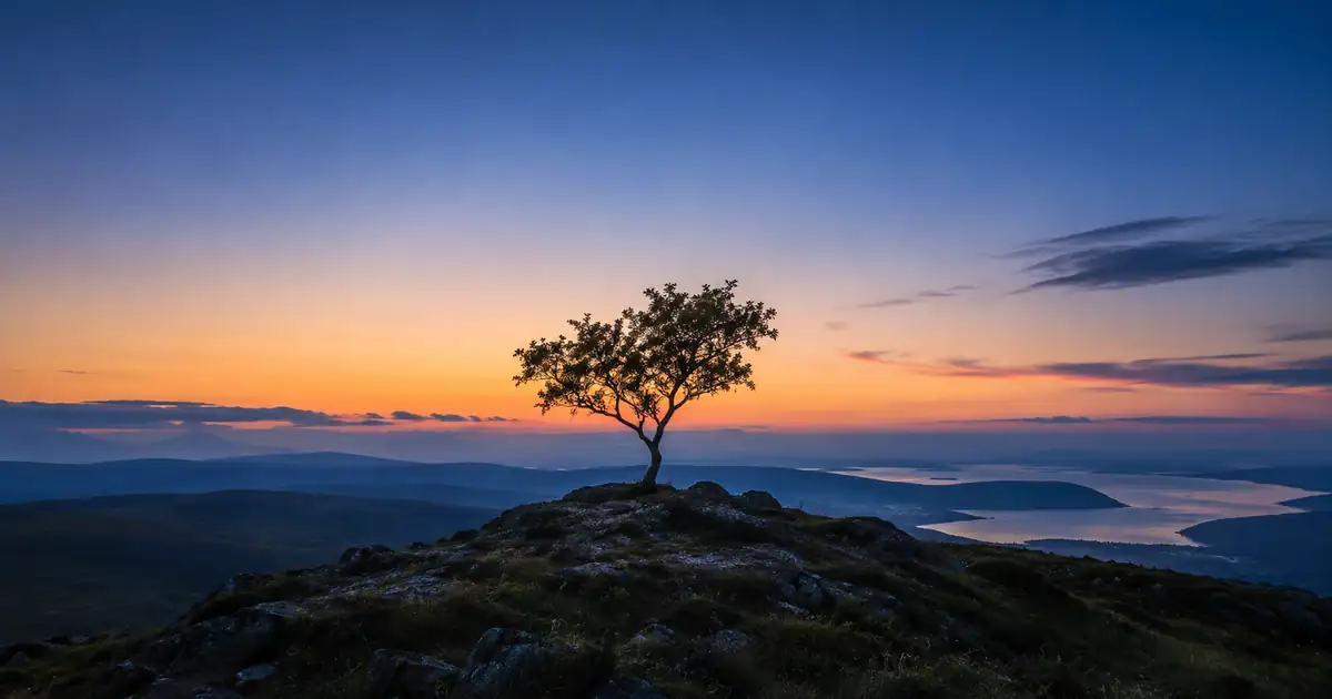 Lone tree on a low ridge beneath a broad peach-to-indigo evening sky with subtle natural texture